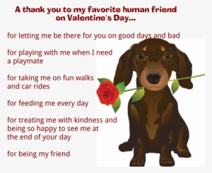 Valentine's Day Message From Dog - Happy Valentines Day Dog #3808820