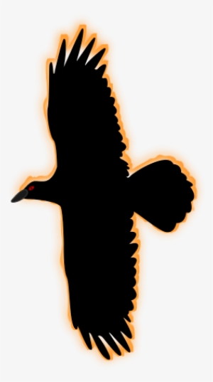 Open - Seabird #3809143