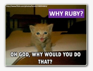 Ruby - Lolcat #3809434