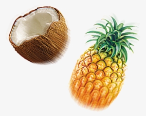 Coco, Barco, Farol, Guarda Sol, Coca Cola, Drink, Rede, - Pineapple #3809459