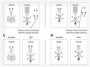 Examples Of Two Stimulus Frames For Matched And Mismatched - Line Art #3809531