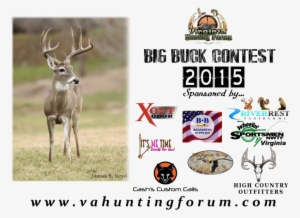 Vahfcontest2 ] - Deer Skull #3810266