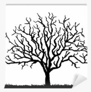 Black Tree Silhouette With No Leaves, Vector Illustration - Tree Silhouette With No Leaves #3811297 Black Tree Silhouette With No Leaves, Vector Illustration - Tree Silhouette With No Leaves #3811297