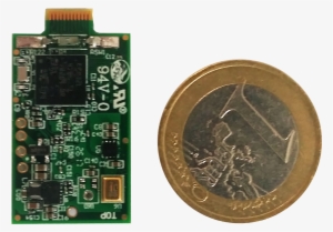 Vesper-pipistrelle - Electronic Component #3812457