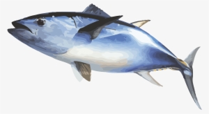 Bluefin Tuna Png #3812655