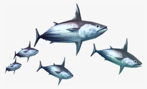 Fishing Net Png - Monster Hunter Tri Monster #3812680