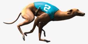 Racing Dog - Virtual Dog #3812757