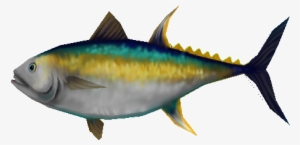 14957 - Atlantic Bluefin Tuna #3813074