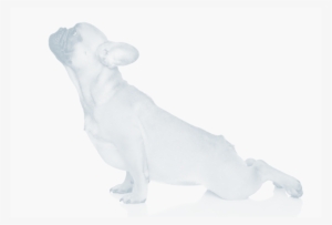 French Bulldog Exercise French Bulldogs Require A Minimal - Dog Yoga Pillow Case #3813192