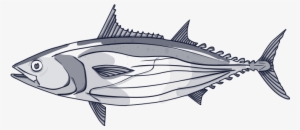 We Only Fish Healthy Stocks - Clip Art #3813375