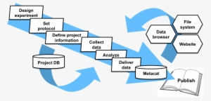 The Hexagons At Right Represent The Modular Components - Student Personnel Information Management System #3815048
