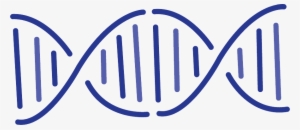 Dna Png Image With Transparent Background - Gene Png #3815445