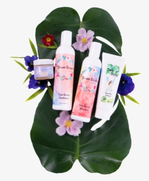 Tree Hugger Botanical Box - Garden #3815509