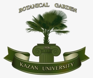 Kazan Federal University #3816260