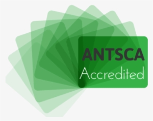 Antsca Surfacing Industry Association - Graphic Design #3817184