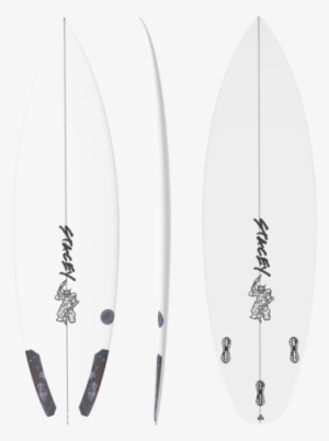 Black Bear - Stacey #3817276