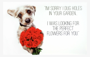 I'm Sorry I Dug Holes #3817307