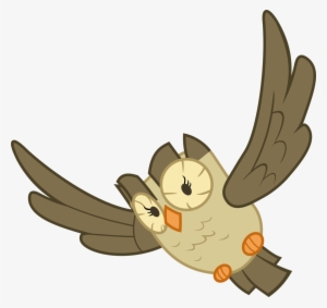 Cooltomorrowkid, Bird, Flying, Owl, Owlowiscious, Pet, - Portable Network Graphics #3819124