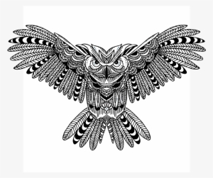 Owl #3819213