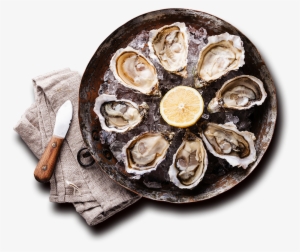 We Are John Gross & Company - Oyster Background #3819651