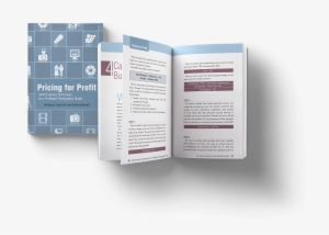 Comment - Brochure #3820064