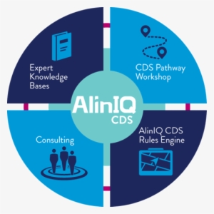 Aliniq Clinical Decision Making Wheel Image - Aliniq Cds #3820246