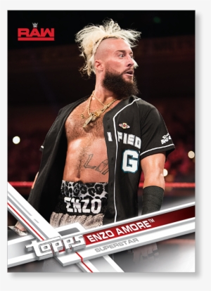 100 Random Wwe Trading Card Lot Featuring A Huge Variety #3820682