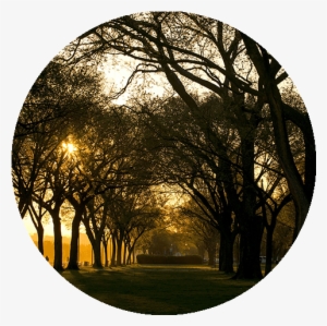 Apartment Amenities And Features In Washington, Dc, - Commodore Barney's Young Spies #3820824 Apartment Amenities And Features In Washington, Dc, - Commodore Barney's Young Spies #3820824