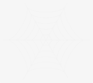 Cobweb - Spider Web #3821484