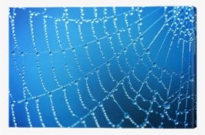 Dew #3821723