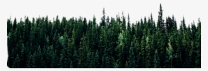 Forest Freetoedit - Tree Line #3821930