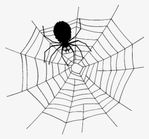 Explore Events For Kids, Spider Webs And More - Spider In Web Cartoon #3821934