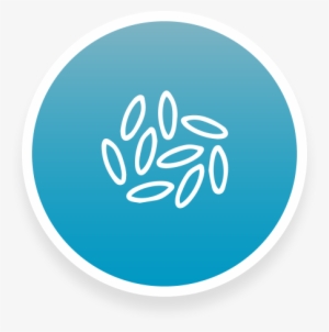 By Michael Wells - Blue Button #3822684