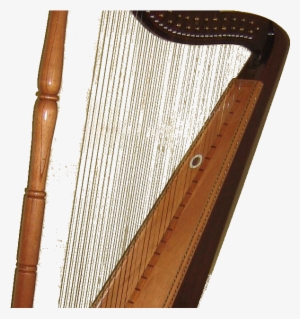 Arpa Llanera #3823198