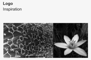 All The Design Was Aimed At Maximized Functionality, - African Daisy #3823259