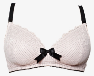 The Soft-cupped Bra - Bra #3824713 The Soft-cupped Bra - Bra #3824713