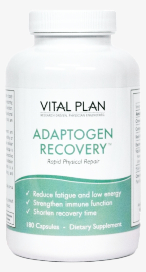 All Products - Tinta De Secagem Rapida #3824816