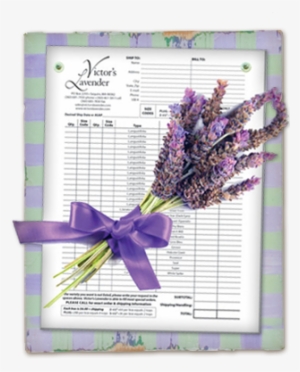 December 31, 2016 Victor's Lavender Order Form - Victor's Lavender #3825272