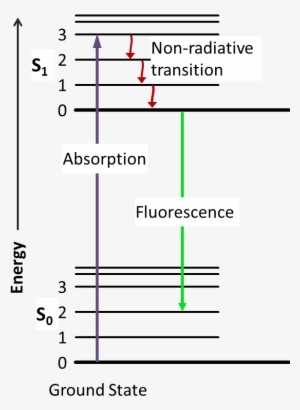 #chemsummer Carnival Glow Sticks - Jablonski Diagram Fluorescence Lifetime #3825878