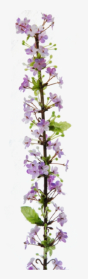 93 Cm - Centimetre #3826000