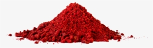 Schizandra Pile 1 1 - Five-flavor Berry #3826686 Schizandra Pile 1 1 - Five-flavor Berry #3826686