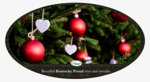 Why Buy Kentucky Proud - Christmas Day #3827453
