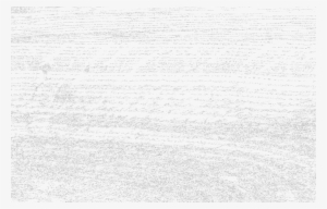 Chestnut - Walnut White Wood Texture #3827954