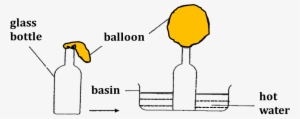 Diagram Shows Empty Bottle And Fixed A Deflated Balloon - Balloon #3828436