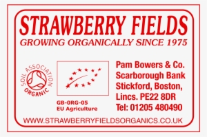 September 6 Strictly, Berserk Sales And Deflated Balloons - Organic Hemp Glow Cleanser - 50 Ml #3828595