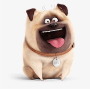 Mel The Secret Life Of Pets - Mel From Secret Life Of Pets #3829830