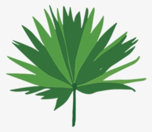 A Custom Gk "rumble In The Jungle" Leotard Given Out - Free Palm Leaf Vectors #3830004