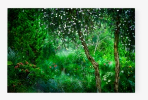 Photo Le Jardin Eden - Garden #3830156