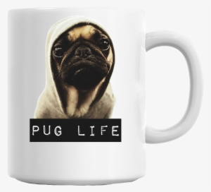 Denver Pro Pet Sitting #3830161