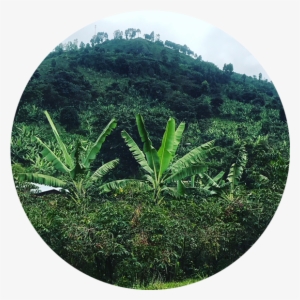 Matendooffering4 - Hill #3830293